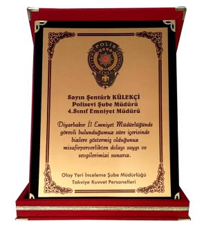 Klasik Albüm Plaket 