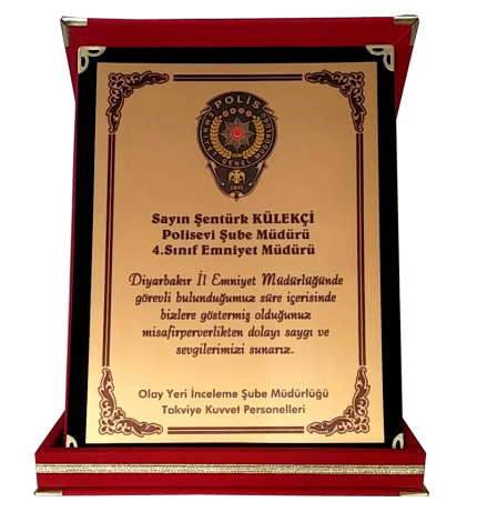 Klasik Albüm Plaket 