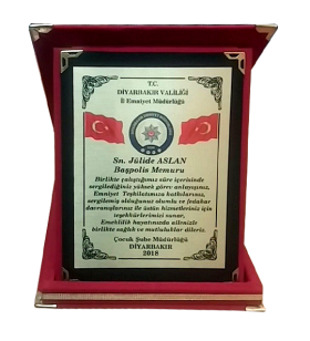 Klasik Albüm Plaket Klasik Albüm Plaket