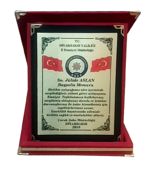 Klasik Albüm Plaket