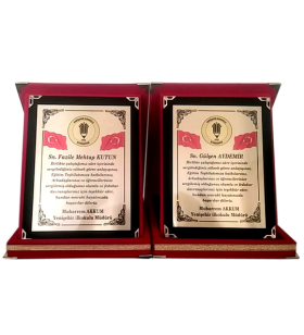 Klasik Albüm Plaket Klasik Albüm Plaket