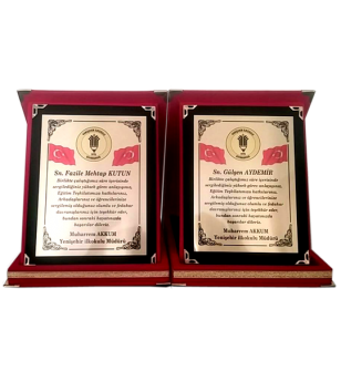 Klasik Albüm Plaket 